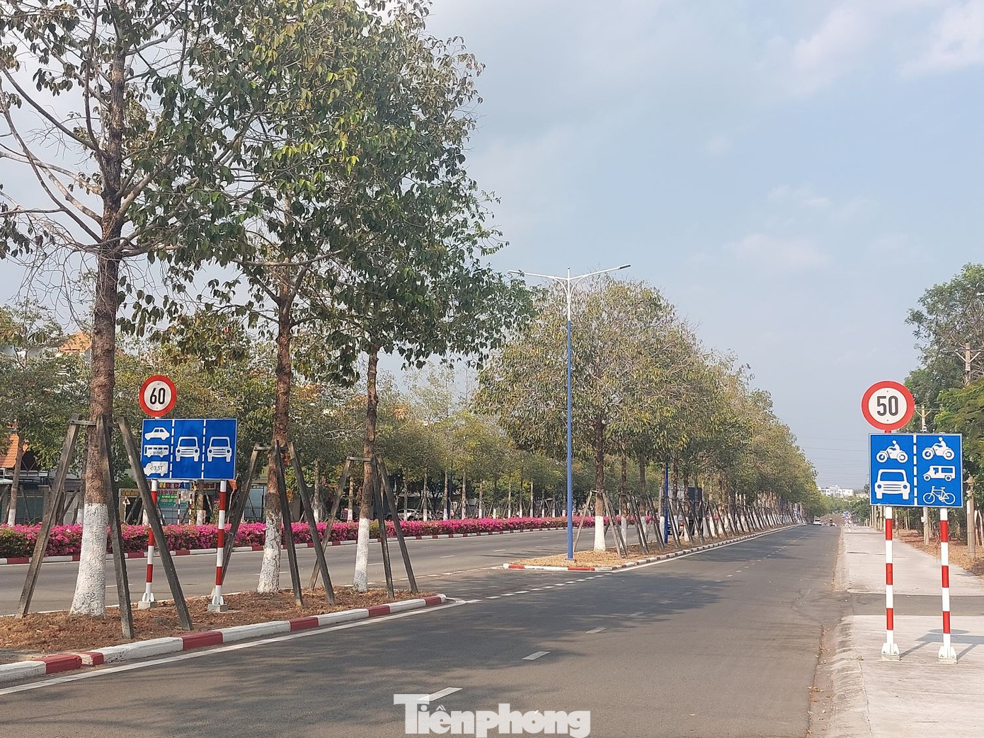 Đường NA3 có tới 10 làn xe, trong đó 6 làn dành riêng cho ô tô, 4 làn xe hỗn hợp (mỗi chiều 2 làn). Đường NA3 có tới 10 làn xe, trong đó 6 làn dành riêng cho ô tô, 4 làn xe hỗn hợp (mỗi chiều 2 làn).