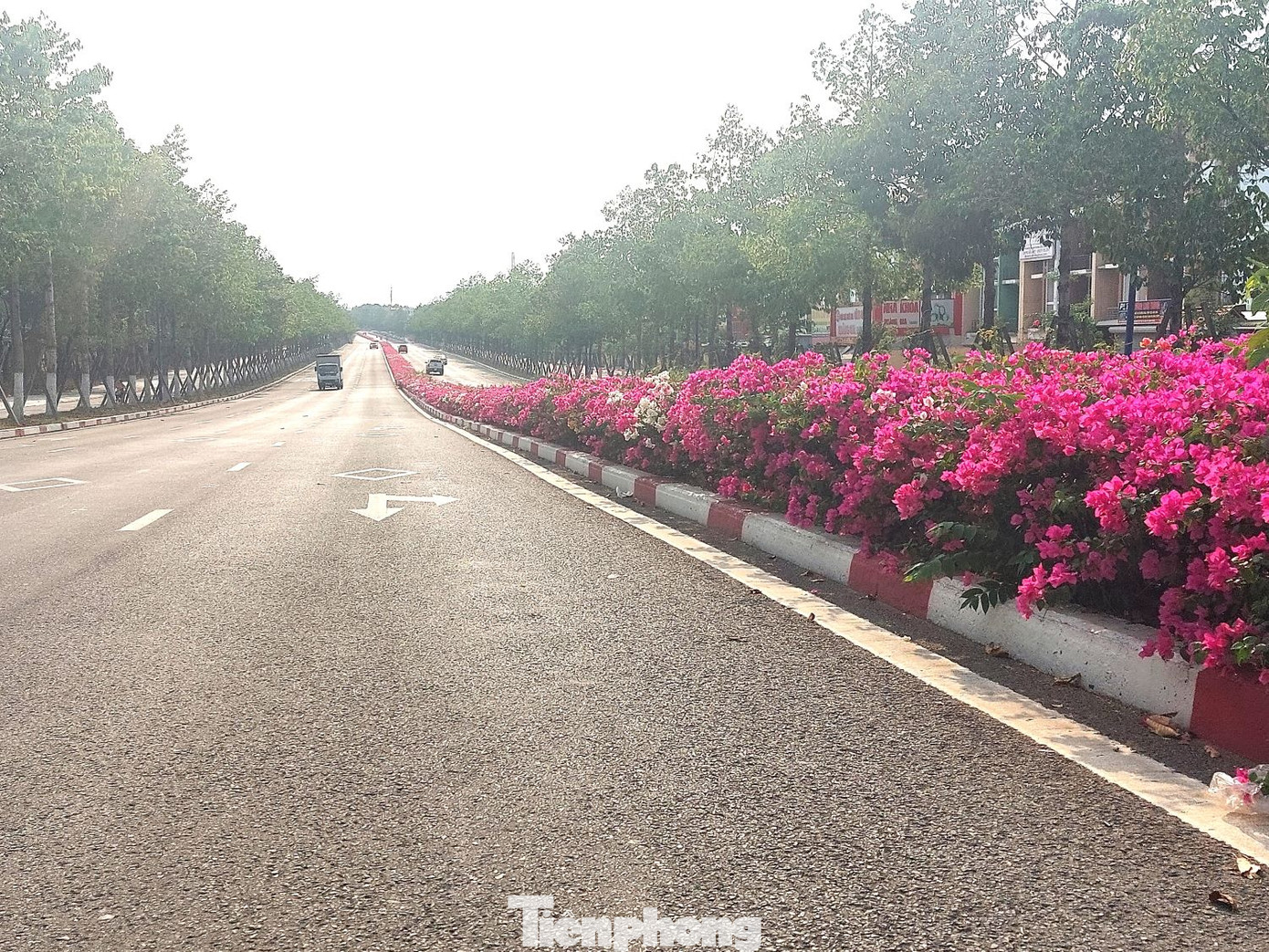 Tại tỉnh Bình Dương, có nhiều tuyến đường được trồng hoa giấy song đường NA3 tạo ấn tượng nhất không chỉ vì hoa trổ đều từ đầu đến cuối đường, mà tuyến đường này có những đoạn uốn lượn, vòng cua… tạo cảm giác thú vị cho người đi đường. Tại tỉnh Bình Dương, có nhiều tuyến đường được trồng hoa giấy song đường NA3 tạo ấn tượng nhất không chỉ vì hoa trổ đều từ đầu đến cuối đường, mà tuyến đường này có những đoạn uốn lượn, vòng cua… tạo cảm giác thú vị cho người đi đường.