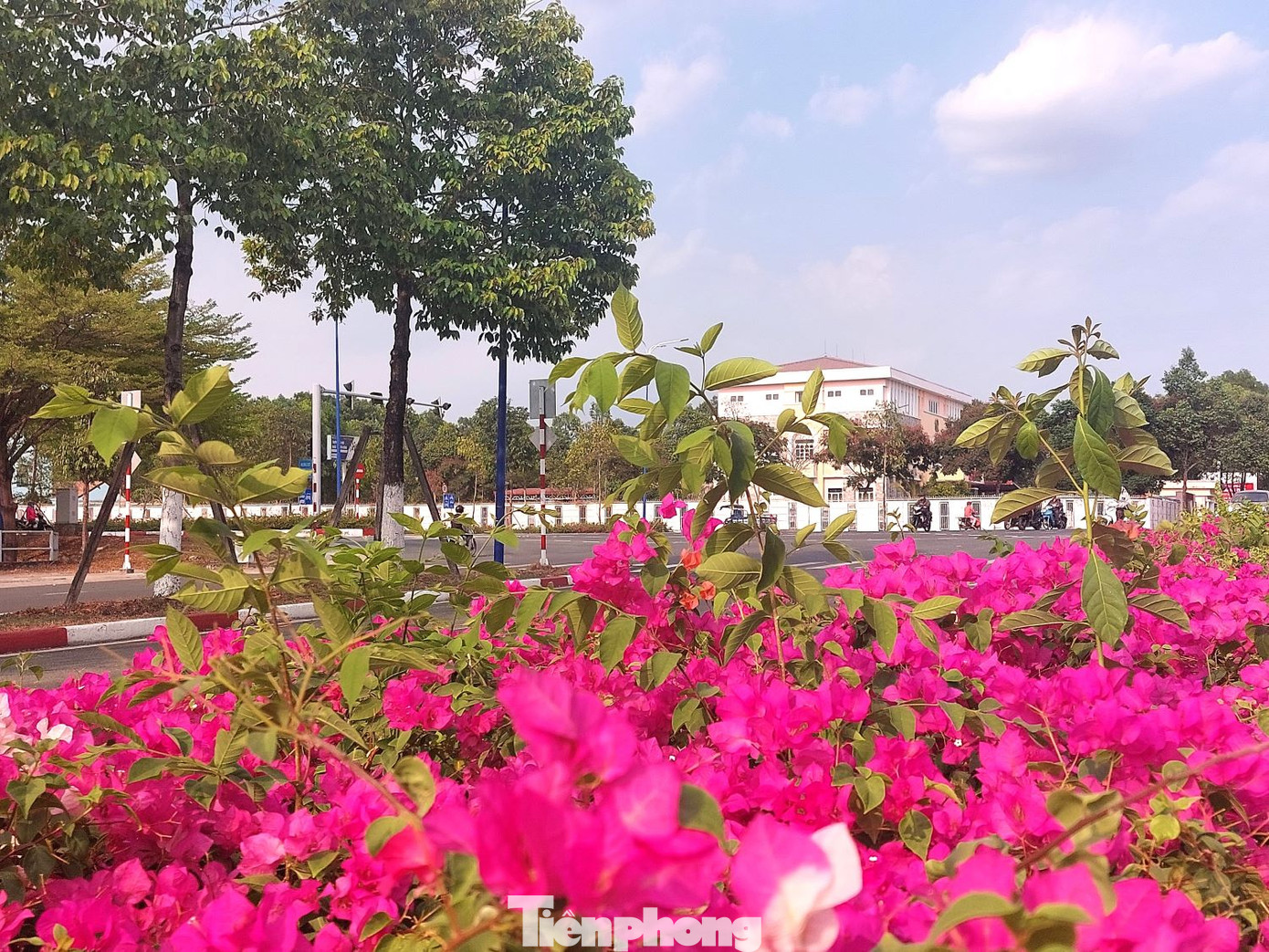 Đầu đường NA3 giao với đường Mỹ Phước Tân Vạn Đầu đường NA3 giao với đường Mỹ Phước Tân Vạn