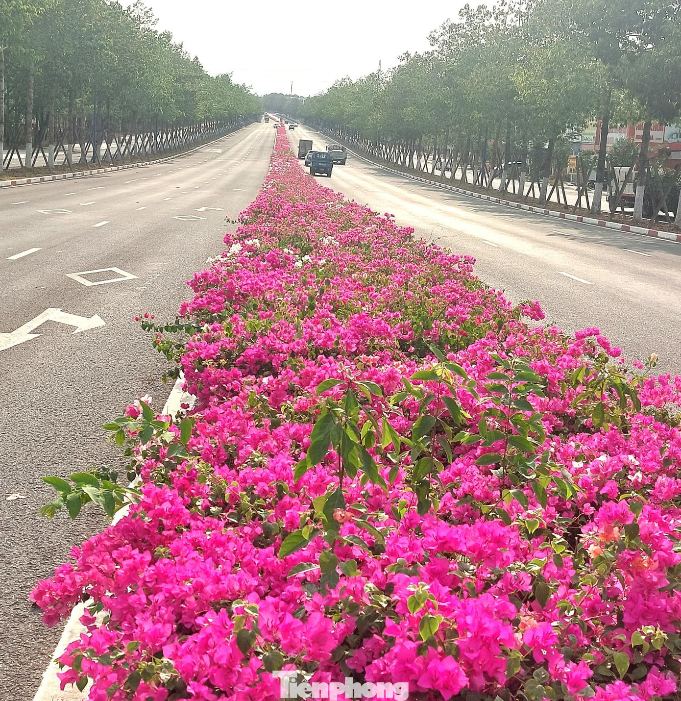 Đường NA3 có chiều dài hơn 3km, đi qua khu công nghiệp Mỹ Phước 2 (phường Mỹ Phước, thành phố Bến Cát, tỉnh Bình Dương) liên thông với hai tuyến huyết mạch Mỹ Phước Tân Vạn và Quốc lộ 13. Đường NA3 có chiều dài hơn 3km, đi qua khu công nghiệp Mỹ Phước 2 (phường Mỹ Phước, thành phố Bến Cát, tỉnh Bình Dương) liên thông với hai tuyến huyết mạch Mỹ Phước Tân Vạn và Quốc lộ 13.