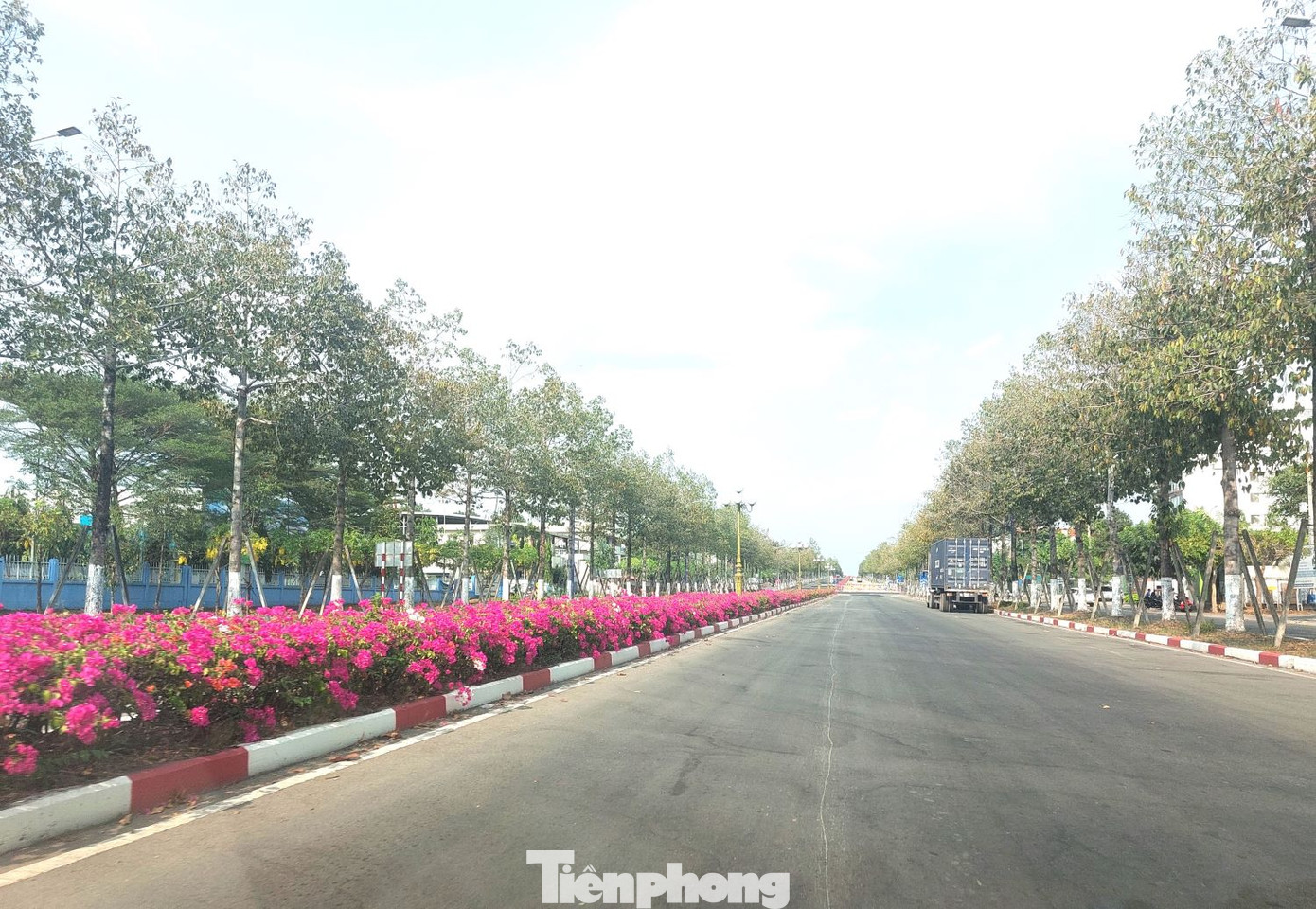 Hoa giấy tô điểm giúp tuyến đường trở nên lãng mạn giữa tiết trời nắng gắt Hoa giấy tô điểm giúp tuyến đường trở nên lãng mạn giữa tiết trời nắng gắt