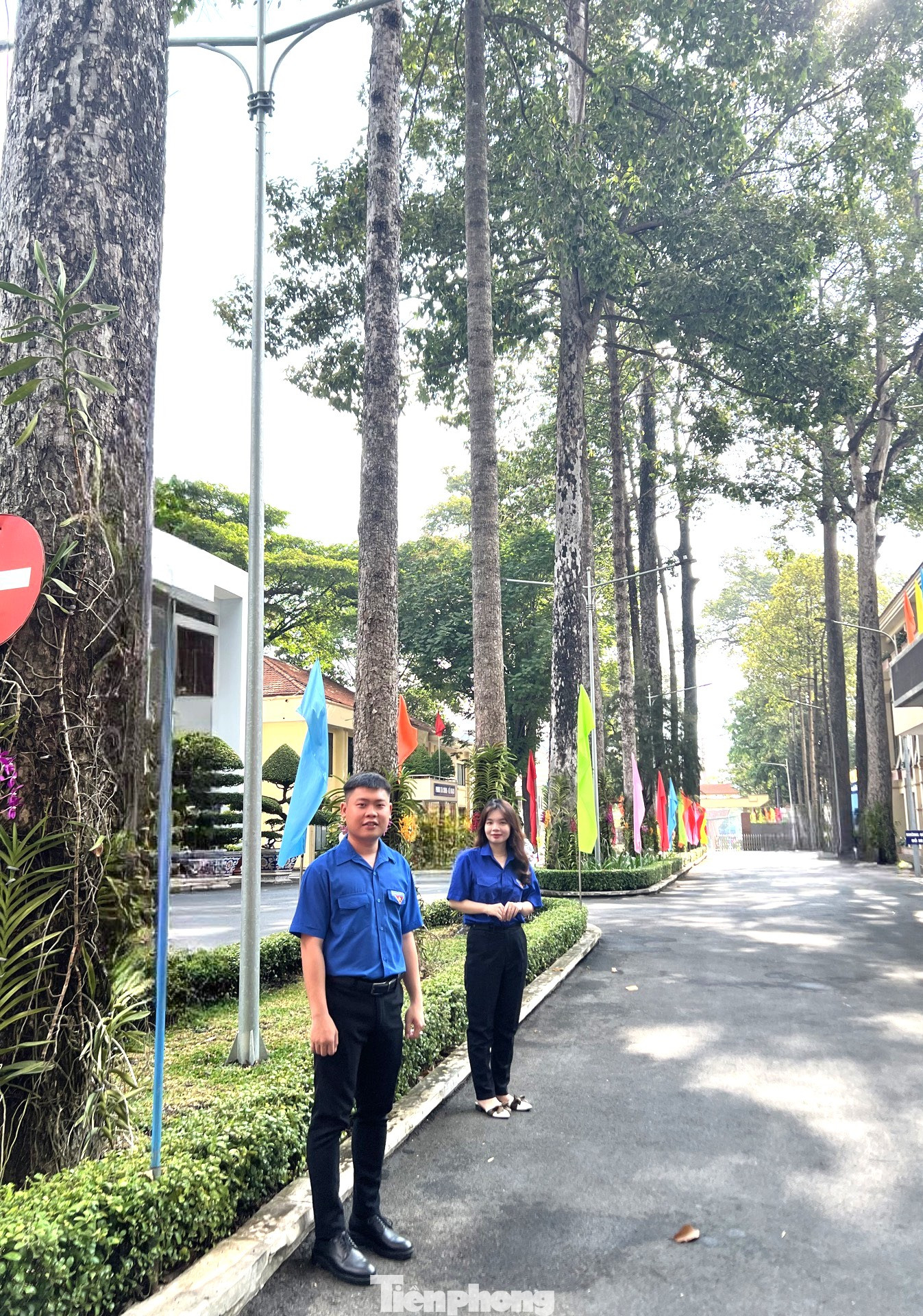 Lối vào bên trong trụ sở thành phố Thủ Dầu Một với hàng cây cổ thụ