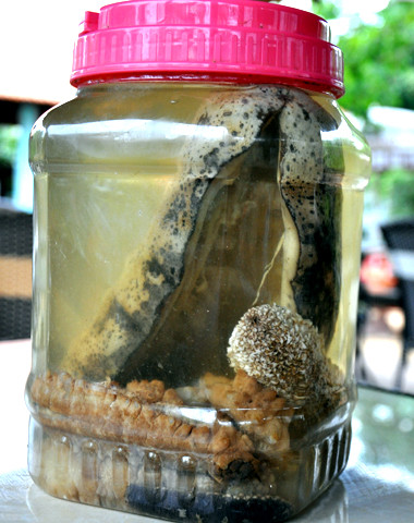 Hũ rượu ngâm hải sâm trắng có giá hơn 1,5 triệu đồng bày bán ở đảo Lý Sơn. Ảnh: Trí Tín. Hũ rượu ngâm hải sâm trắng có giá hơn 1,5 triệu đồng bày bán ở đảo Lý Sơn. Ảnh: Trí Tín