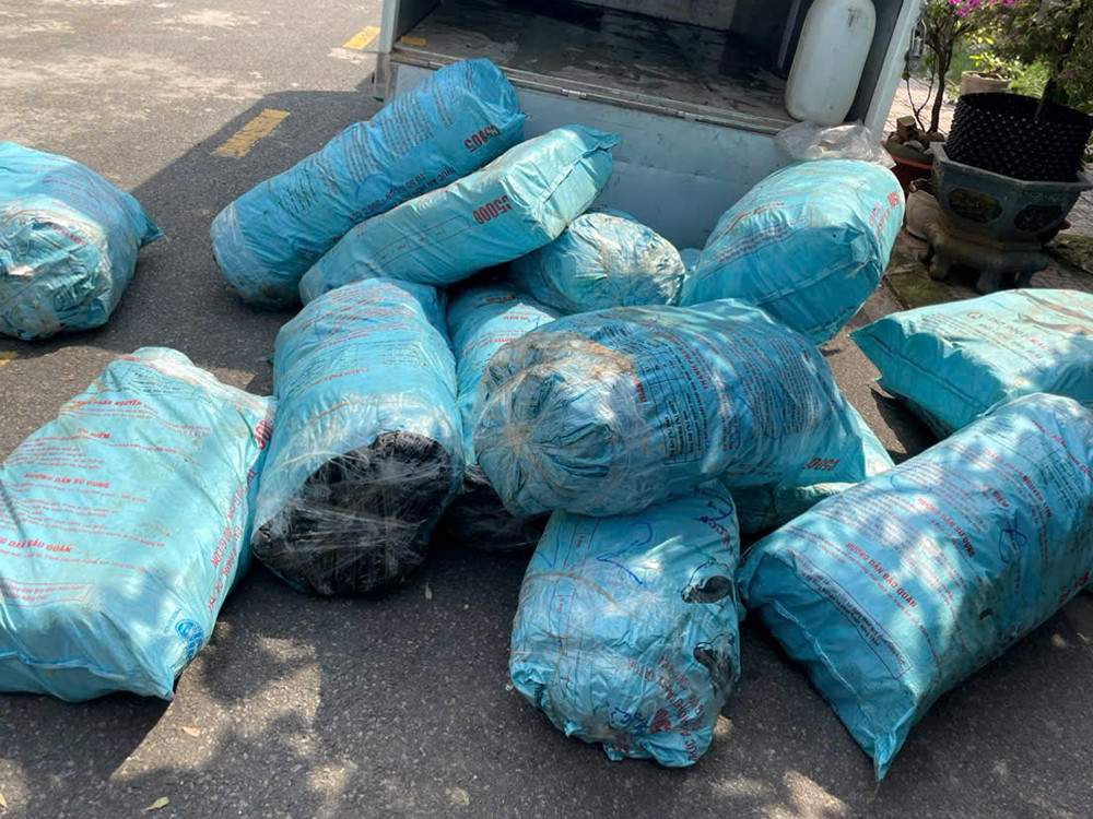 Chuyên án 128T bắt giữ đối tượng cầm đầu Dương Đình Quang cùng đồng bọn, thu giữ 550 kg ma túy cần sa khô.