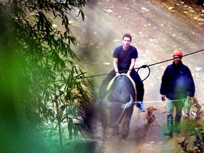 Zuckerberg cưỡi trâu ở Sapa (Lào Cai) ngày 26-12-2011