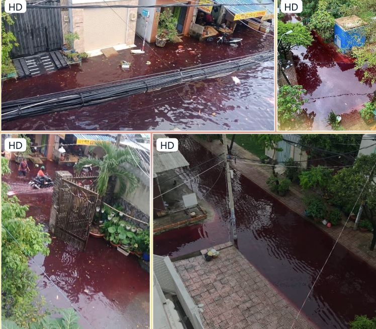 Nước đỏ ngập khu vực dân cư ở quận Tân Phú (TPHCM) chiều 23/10. Nước đỏ ngập khu vực dân cư ở quận Tân Phú (TPHCM) chiều 23/10.