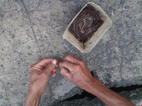 Câu cá trê giữa đường phố mưu sinh ảnh 1