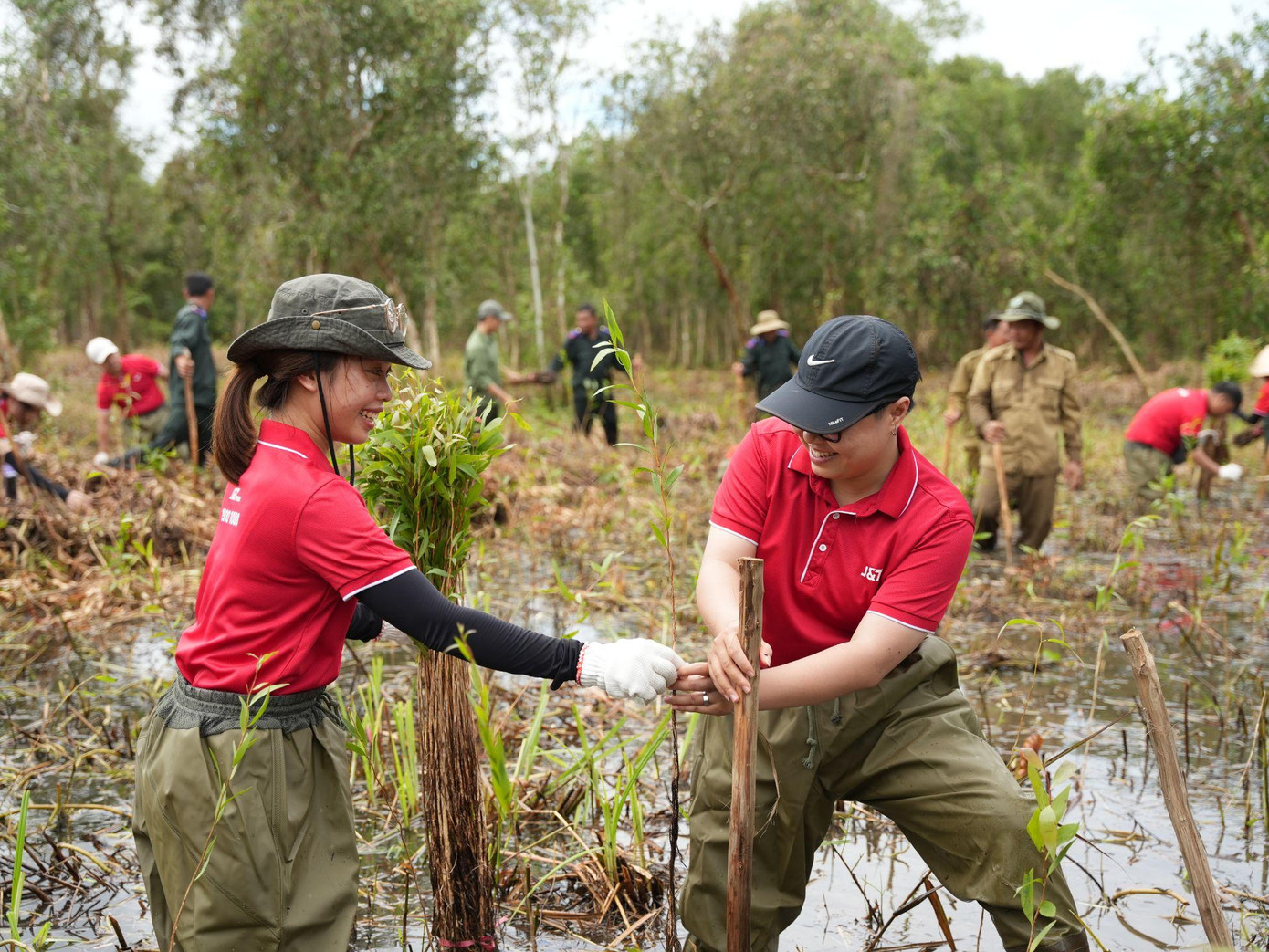 Nhân viên J&amp;T Express cùng thực hiện trồng rừng tại Vườn Quốc gia U Minh Thượng.