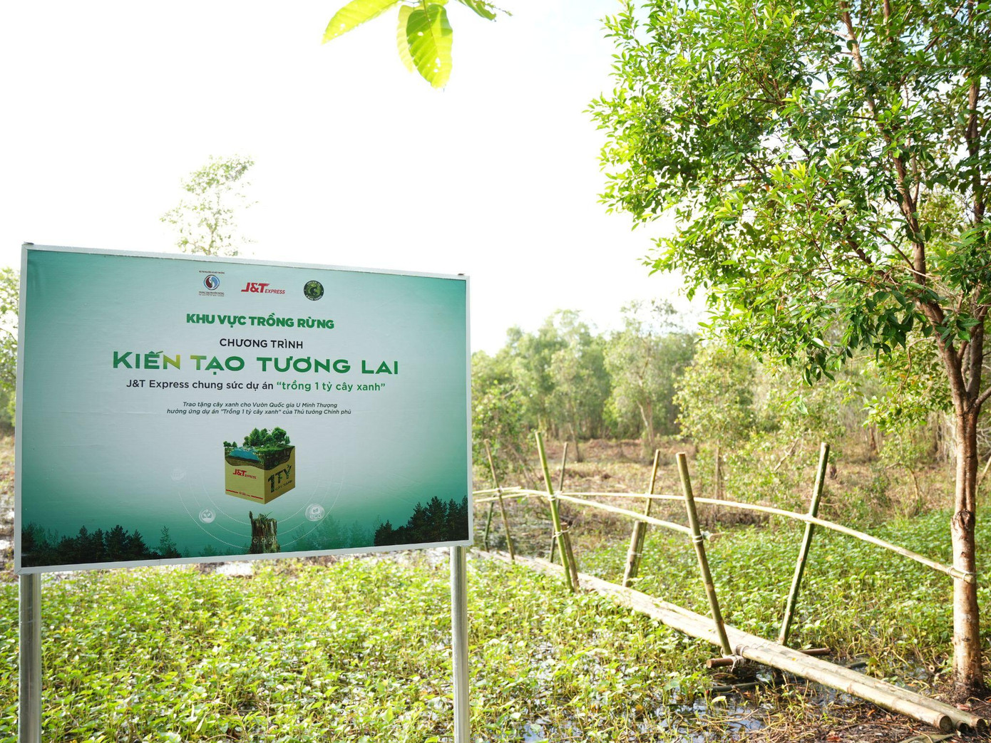 Khu vực trồng rừng của J&amp;T Express tại Vườn Quốc gia U Minh Thượng.