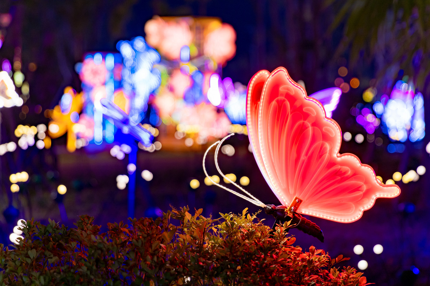 Chạm cảm xúc với mỗi khu vực tại Dragon Ocean Lighting Park Chạm cảm xúc với mỗi khu vực tại Dragon Ocean Lighting Park