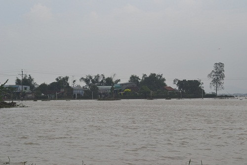 Vùng trũng Tuy Phước vẫn chơi vơi giữa biển lũ. ảnh Việt Hương