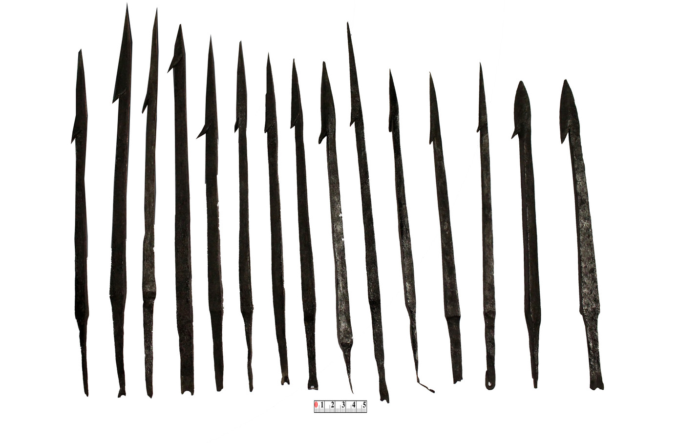 Giáo 1 ngạnh. Ảnh: BTHN.