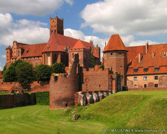 Lâu đài Malbork nổi tiếng nhất Ba Lan rộng 143.591 m2, được xây hoàn toàn bằng gạch theo phong cách kiến trúc Gôtích lớn nhất thế giới. Mehrangarh Fort rộng 81.227 m2, một pháo đài hàng nghìn năm tuổi tại Ấn Độ. Bao quanh là bức tường kiên cố có chiều dày 6m, bên trong là cung điện nguy nga với kiến trúc tinh xảo. Tại đây, bạn có thể thấy nhiều hiện vật lịch sử của những vị vua. Prague Castle rộng 66.761 m2 là lâu đài thời trung cổ lớn nhất ở châu Âu và là nơi ngự trị cổ xưa của các vị vua Séc trong suốt các thời đại. Đây là quần thể các tòa nhà, cung điện, thánh đường lộng lẫy và được xem là biểu tượng của cộng hòa Séc. Windsor Castle rộng 54.835 m2, là lâu đài lớn nhất, lâu đời nhất thế giới và là niềm tự hào lịch sử nước Anh. Lâu đài Hohensalzburg rộng 54523 m2 nằm tại thành phố Salzburg, Áo. Spis Castle rông 49485 m2 là một trong những lâu đài thời Trung cổ lớn nhất ở trung tâm châu Âu, tại miền đông Slovak Buda Castle rộng 44.674 m2 là lâu đài lịch sử của các vị vua Hungary tại Budapest. Himeji Castle rộng 41.468 m2 nằm ở trung tâm của thành phố Himeji, Nhật Bản. Thành cổ Aleppo rộng 39.804 m2, được coi là niềm tự hào của sa mạc, thành cổ Aleppo là một trong những lâu đài nổi tiếng nhất trong thế giới Ả Rập.