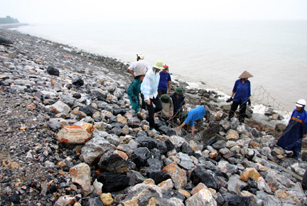 Lực lượng phòng chống bão huyện Cát Hải bổ xung đá vào rọ tại tuyến đê xung yếu
