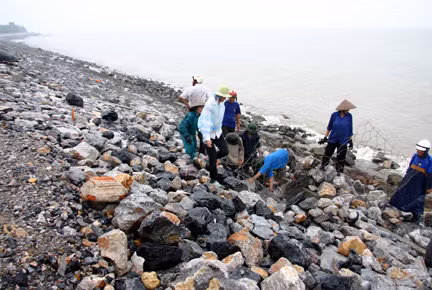 Lực lượng phòng chống bão huyện Cát Hải bổ xung đá vào rọ tại tuyến đê xung yếu