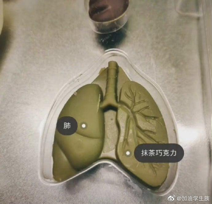 Nhìn những thành quả này dân tình chỉ biết cảm thán: "Trời ơi tin được không?"