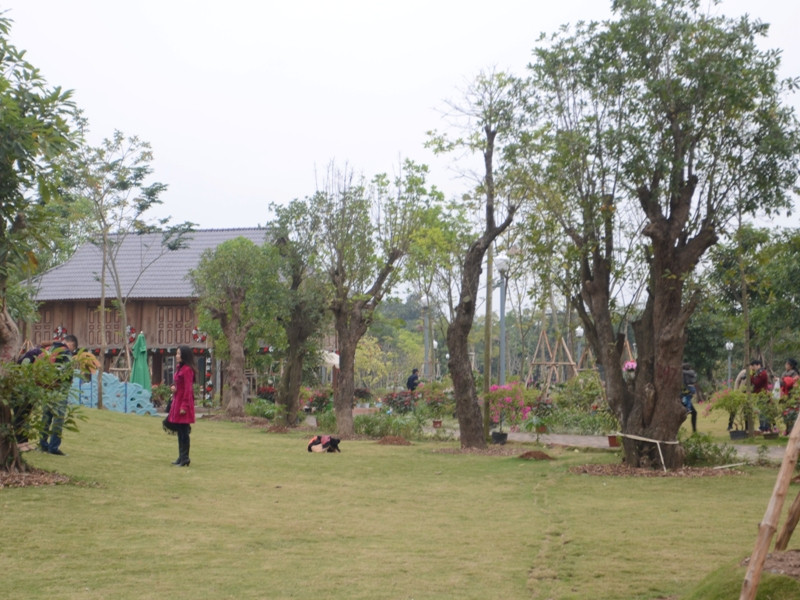 Không gian tuyệt đẹp của công viên mùa Hạ khiến các bạn trẻ mải mê chụp ảnh