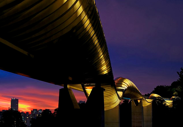 Cầu đi bộ Henderson Waves cao nhất Singapore.