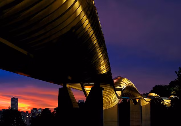 Cầu đi bộ Henderson Waves cao nhất Singapore.
