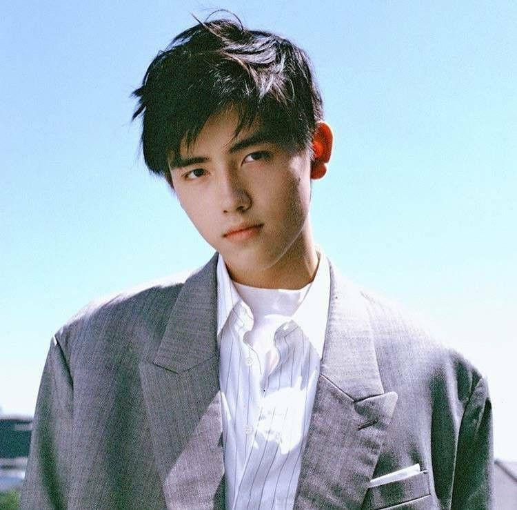 Trần Phi Vũ đã thôi quốc tịch Mỹ và trở thành công dân Trung Quốc hợp pháp.