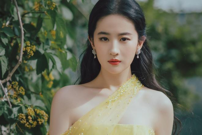 Người hâm mộ bênh vực Lưu Diệc Phi trước ồn ào quốc tịch.