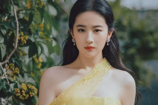Người hâm mộ bênh vực Lưu Diệc Phi trước ồn ào quốc tịch.