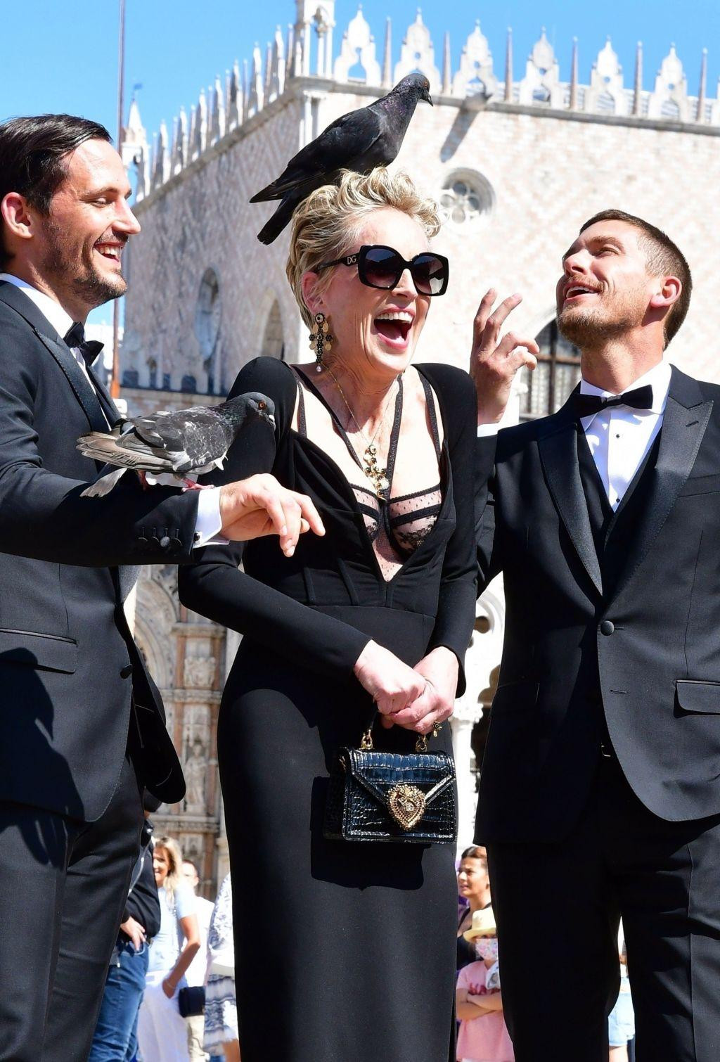 Khoảnh khắc Sharon Stone vừa bất ngờ vừa thích thú khi bị bồ câu đậu trên đầu khi tham gia show thời trang của Dolce &amp; Gabbana tại Quảng trường St. Mark ở Venice, Ý. Mỹ nhân "Bản năng gốc" còn gây chú ý bởi chiếc váy xẻ sâu lộ nội y ren xuyên thấu.