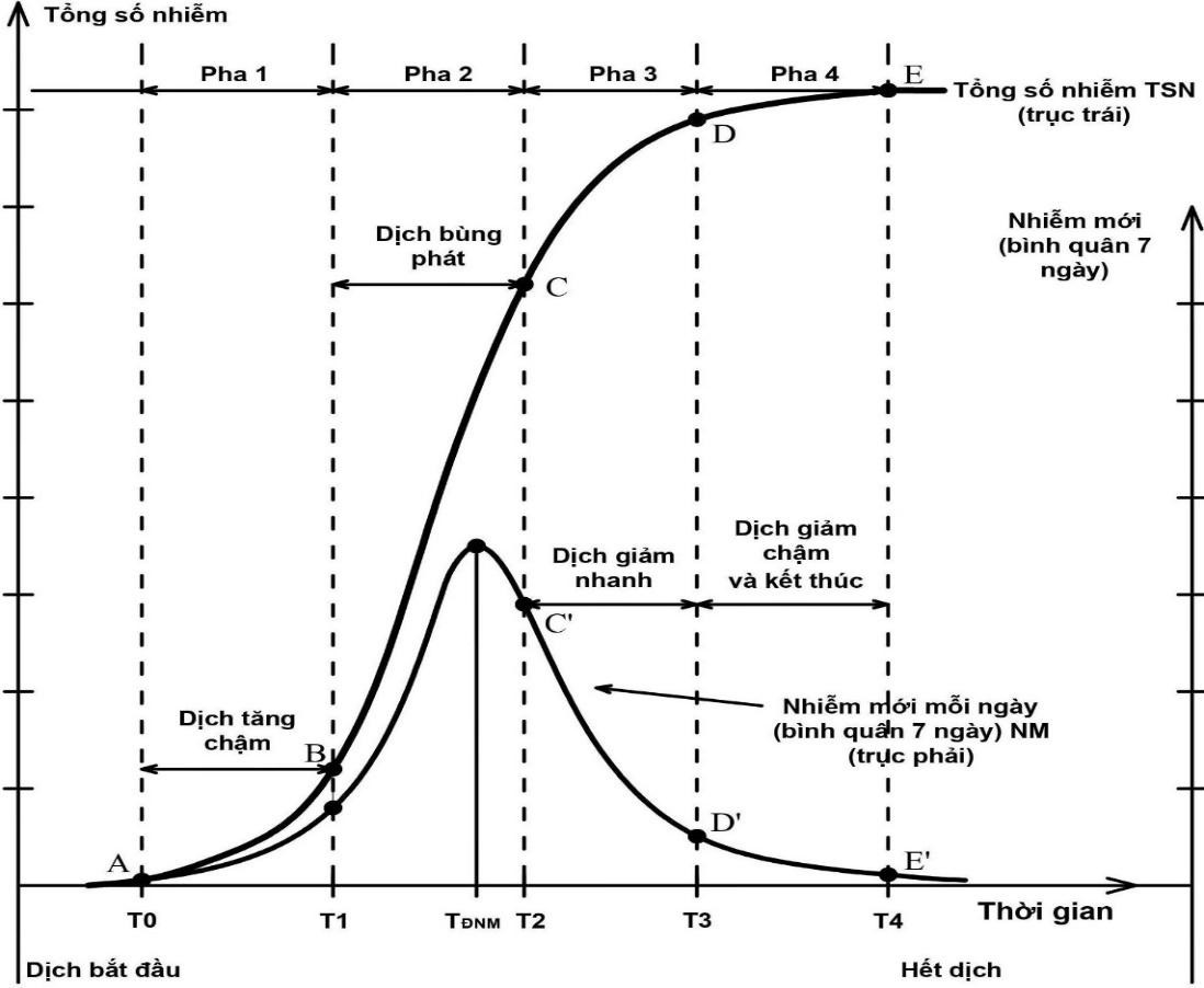 Hình 1: Mô hình diễn biến dịch 4 pha điển hình, chống dịch có kết quả (TĐNM: Thời điểm các ca nhiễm mới (bình quân 7 ngày) đạt đỉnh)