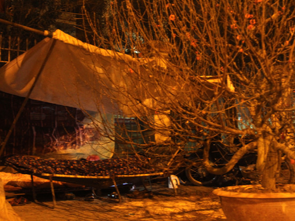 Hay đơn giản chỉ là căng tấm bạt che sương