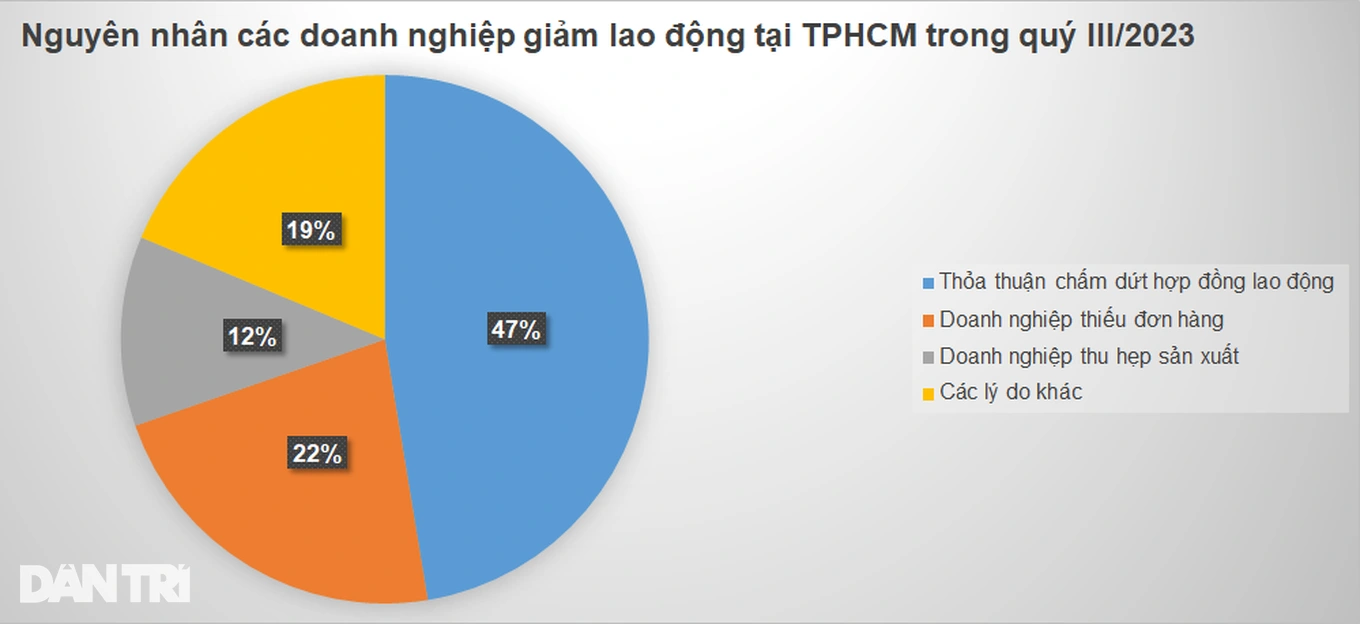 Nguyên nhân các doanh nghiệp giảm lao động tại TPHCM trong quý III/2023 (Nguồn: Sở LĐ-TB&XH TPHCM). Nguyên nhân các doanh nghiệp giảm lao động tại TPHCM trong quý III/2023 (Nguồn: Sở LĐ-TB&XH TPHCM).