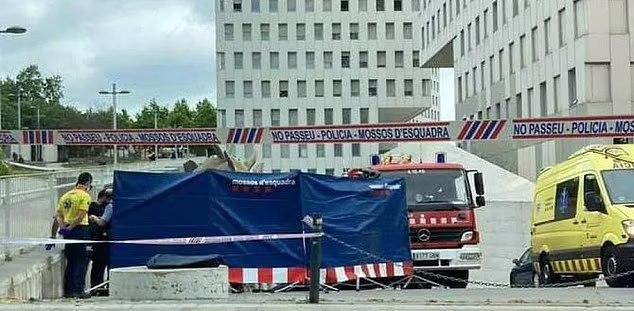 Lực lượng cứu hộ đưa thi thể mắc kẹt trong tượng khủng long ra ngoài. Ảnh: Daily Mail