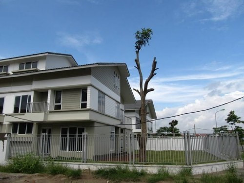 Cơn sốt đất 2010 đã khá nhiều nhà đầu tư 