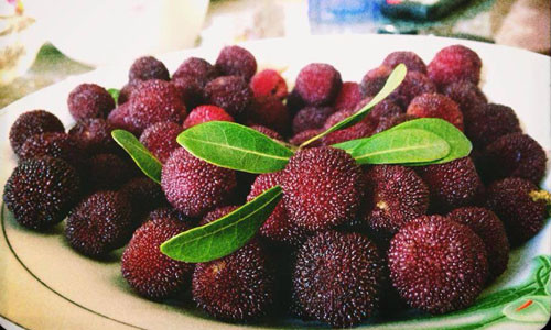 Điểm mặt trái cây rẻ bèo về Việt Nam thành siêu đắt đỏ ảnh 4