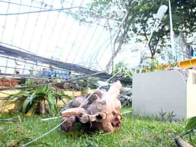 Bức tượng bị bể nát