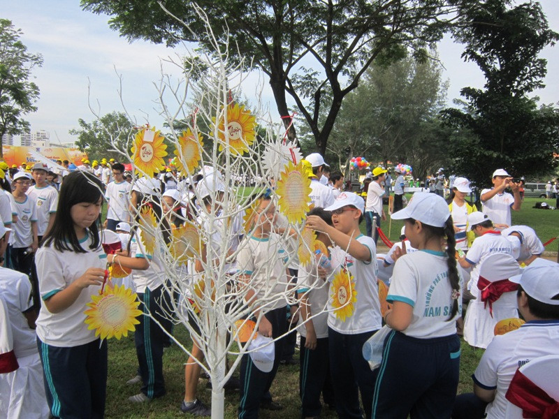 Treo hoa hướng dương lên cây