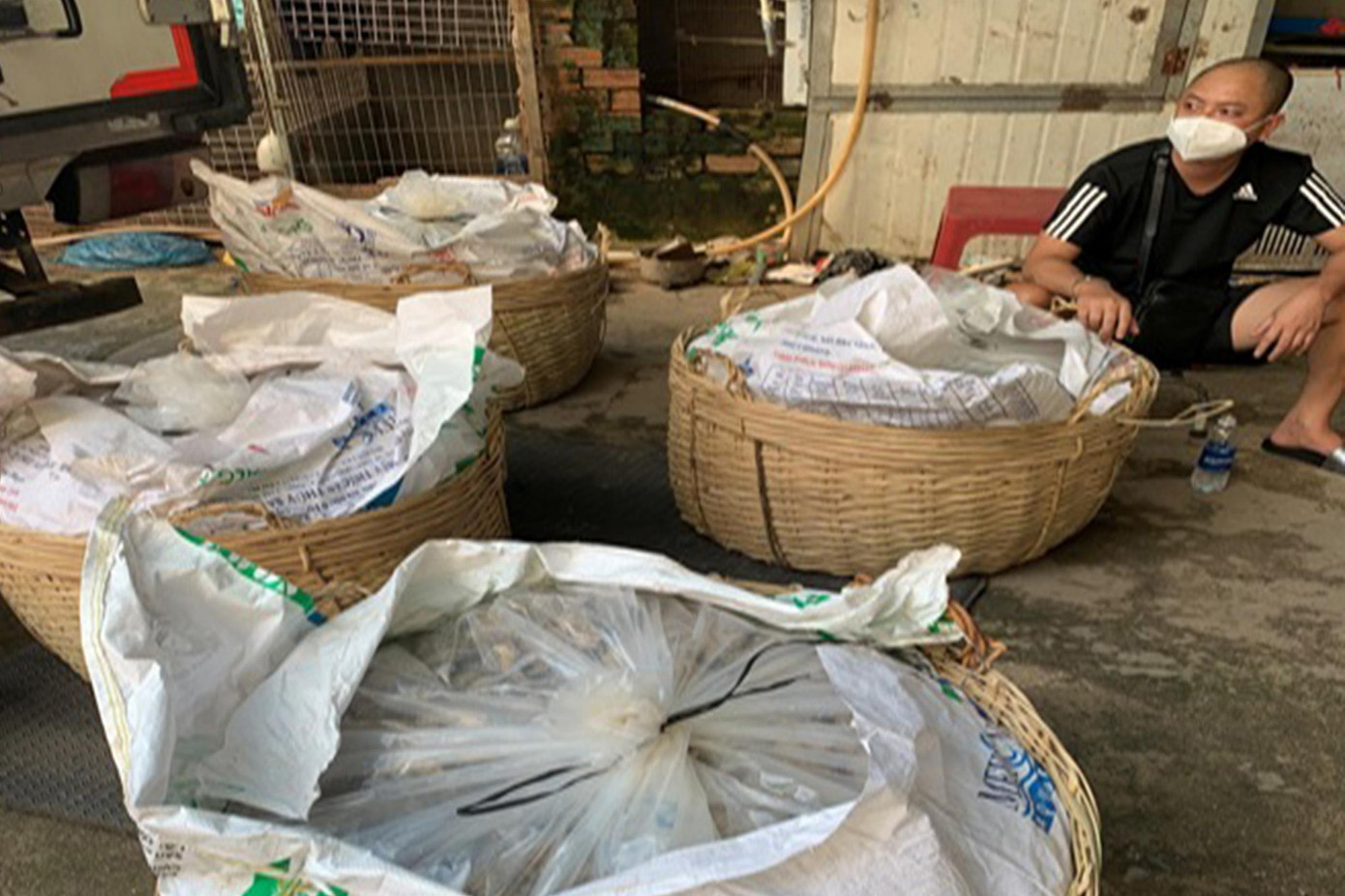 Các đối tượng ngụy trang ma túy trong các giỏ đựng mắm cá.