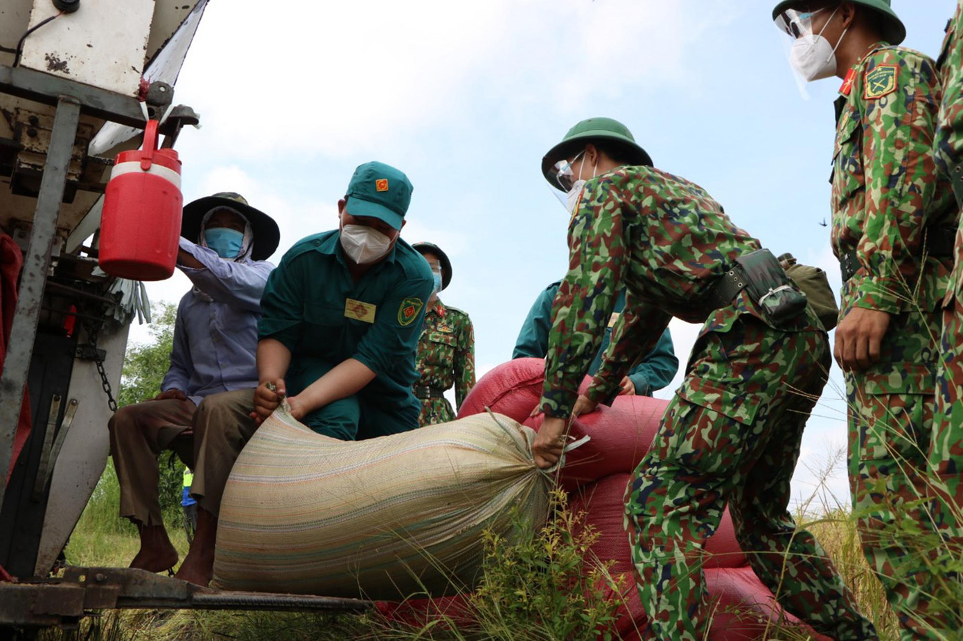 Các chiến sĩ trường Sĩ quan Lục quân 2 thuộc Bộ Quốc phòng dã xắn quần xuống ruộng cùng lực lượng địa phương hỗ trợ vác lúa từ máy gặt về nhà cho nông dân.