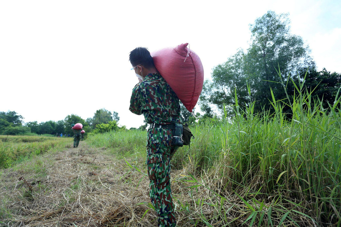 Ông Nguyễn Hồng Sánh, Chủ tịch Hội nông dân thị trấn Tân Túc, huyện Bình Chánh cho biết, địa phương có 88 hộ trồng lúa với 102ha, lúa vào vụ thu hoạch từ tháng 8 đến tháng 11.