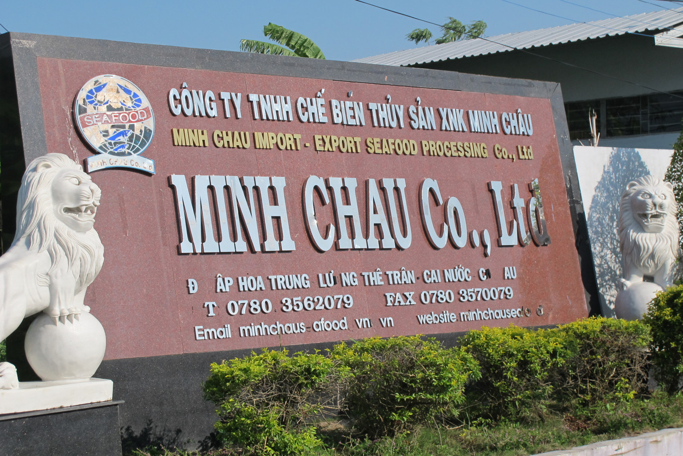 Cty Minh Châu gần như ngưng hoạt động vì thiếu vốn, nợ nần