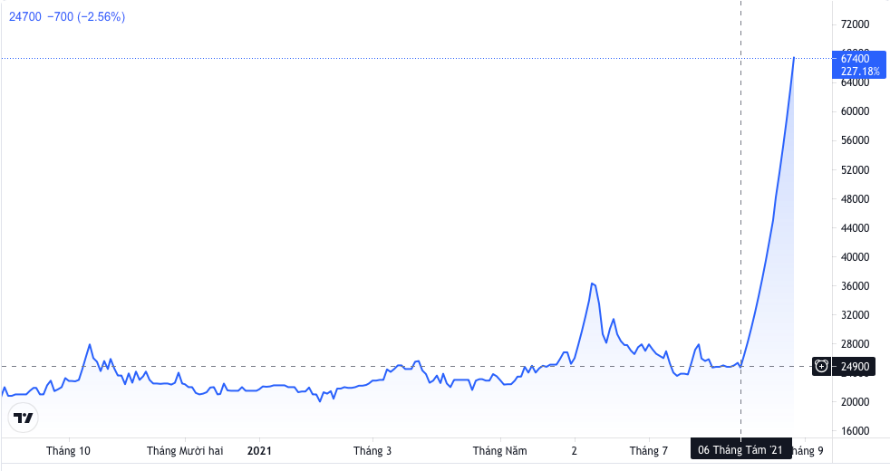 Chuỗi tăng giá ấn tượng của VMD