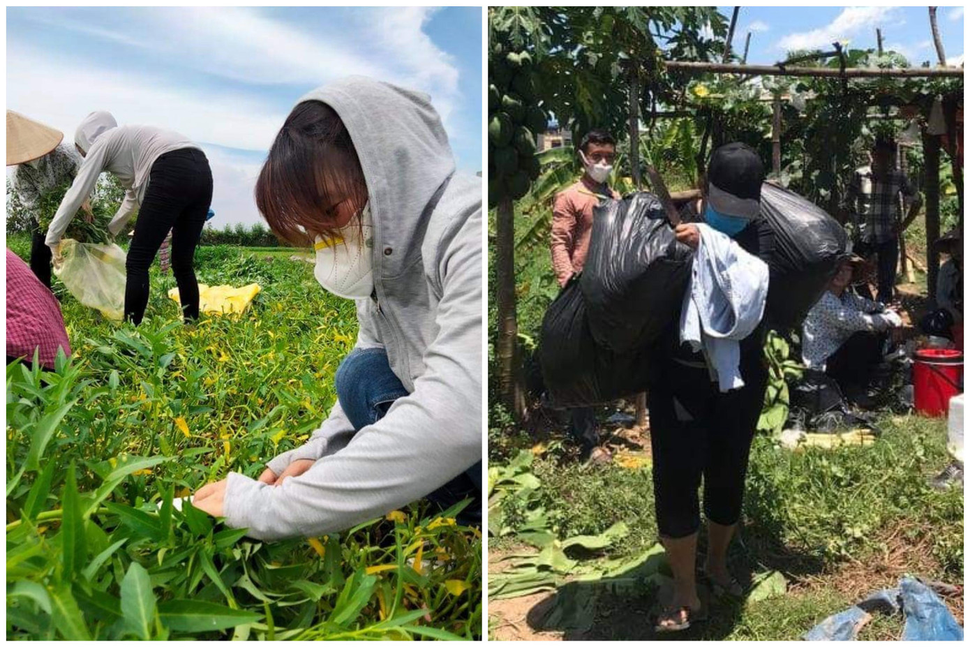 Ngày đầu hoạt động chỉ có một người lái xe và một người cắt rau, khi ấy chị Hương từng rơi nước mắt trên ruộng. Chị Hương cho biết, ngay khi chị đăng bài nhận giúp người khó khăn trên mạng xã hội, thì các trường hợp nhờ hỗ trợ cứ thế tăng lên, chị cũng muốn giúp tất cả nhưng sức có hạn, thấy bất lực quá.