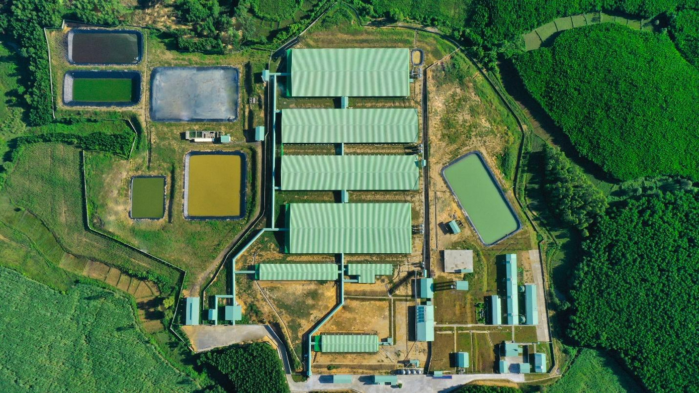 Trang trại chăn nuôi BaF cách xa khu dân cư 3-5km và tuân thủ các tiêu chí an toàn sinh học