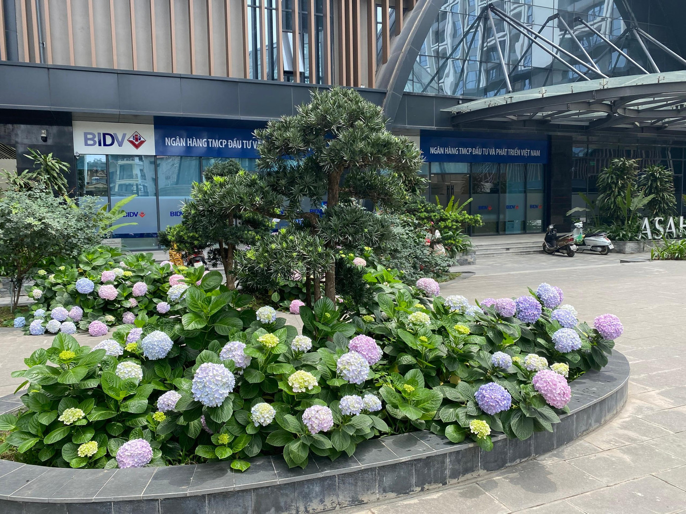 Vietracimex xây dựng Hinode City mang đậm hơi thở thiên nhiên xanh mát