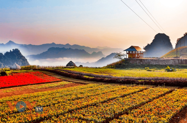 Bình nguyên Khai Trung, huyện Lục Yên có khí hậu như Đà Lạt thứ hai rất phù hợp để phát triển mô hình du lịch trekking và phát triển homestay Bình nguyên Khai Trung, huyện Lục Yên có khí hậu như Đà Lạt thứ hai rất phù hợp để phát triển mô hình du lịch trekking và phát triển homestay