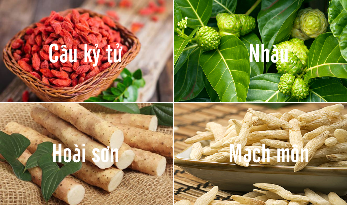 Sử dụng thảo dược giúp ngăn ngừa và cải thiện hiệu quả bệnh tiểu đường