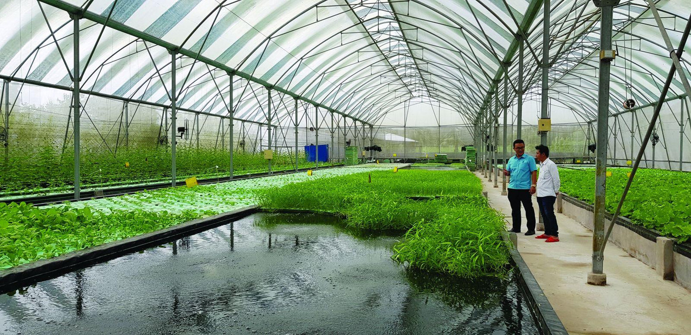 Mô hình Aquaponics –nuôi thủy sản kết hợp trồng rau thủy canh trong nhà kính của Công ty TNHH Nông sản Đồng Tháp AQUA. Mô hình Aquaponics –nuôi thủy sản kết hợp trồng rau thủy canh trong nhà kính của Công ty TNHH Nông sản Đồng Tháp AQUA.