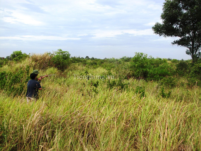 Chuyên gia phóng thuốc gây tê ra tay 