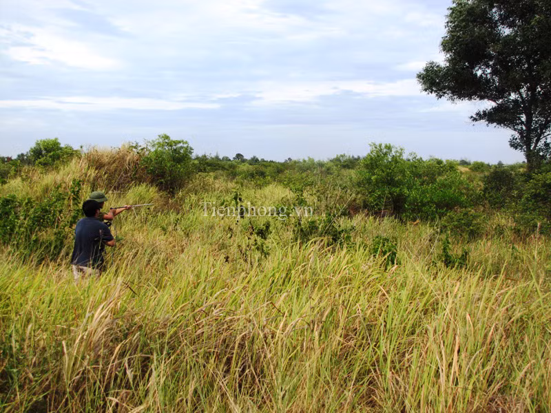 Chuyên gia phóng thuốc gây tê ra tay 