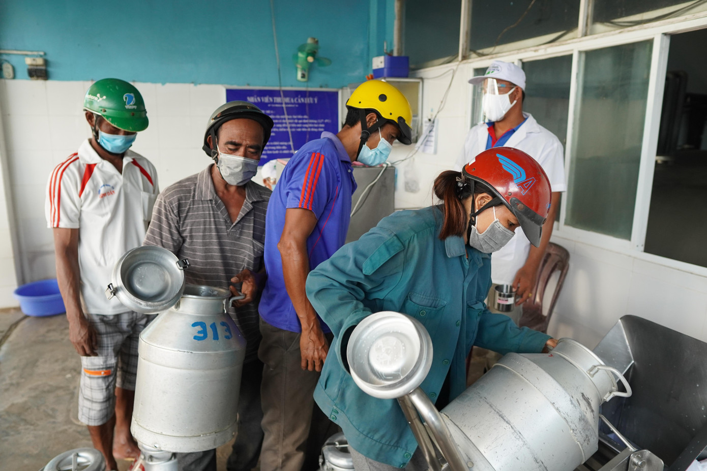 Xã viên nuôi bò sữa của HTX Evergrowth tại điểm thu mua sữa ở huyện Trần Đề, tỉnh Sóc Trăng