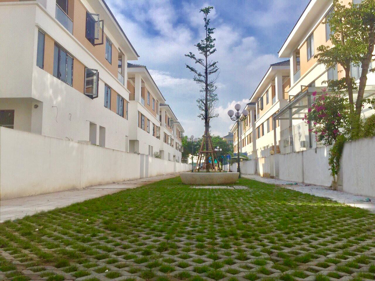 Tuyến phố dạo bộ rộng 8m ở mặt sau biệt thự An Phú Shop-villa